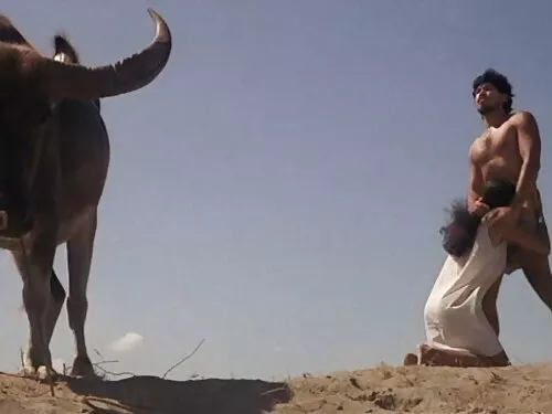 Un filme porno cu ar ...
