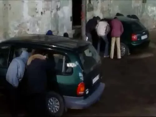 Fata fragilă funcțio ...